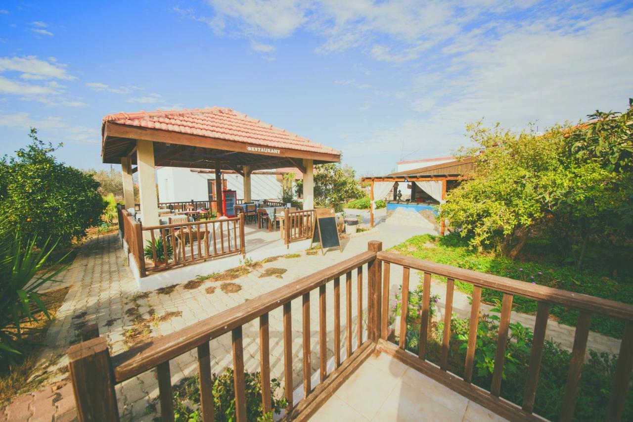Castle Karpasia Guest House Authentic Atmosphere ! Rizokarpaso Ngoại thất bức ảnh