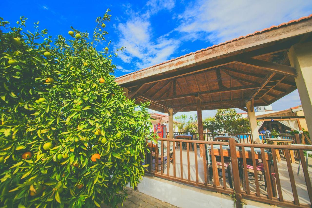 Castle Karpasia Guest House Authentic Atmosphere ! Rizokarpaso Ngoại thất bức ảnh